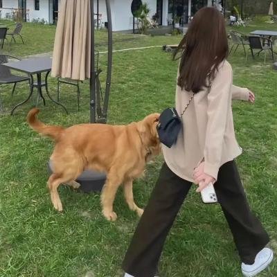 白蛇传情
