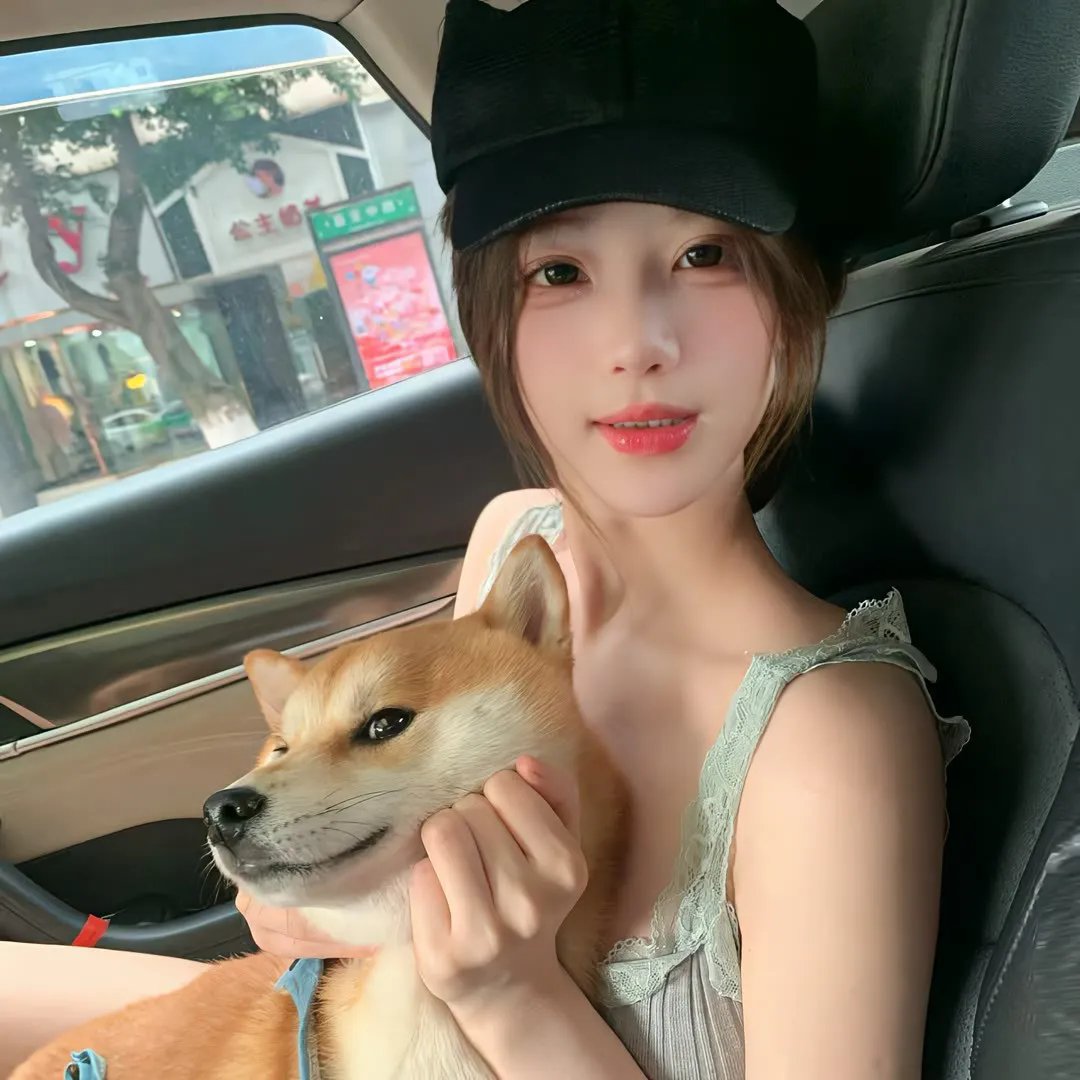 凤凰号
